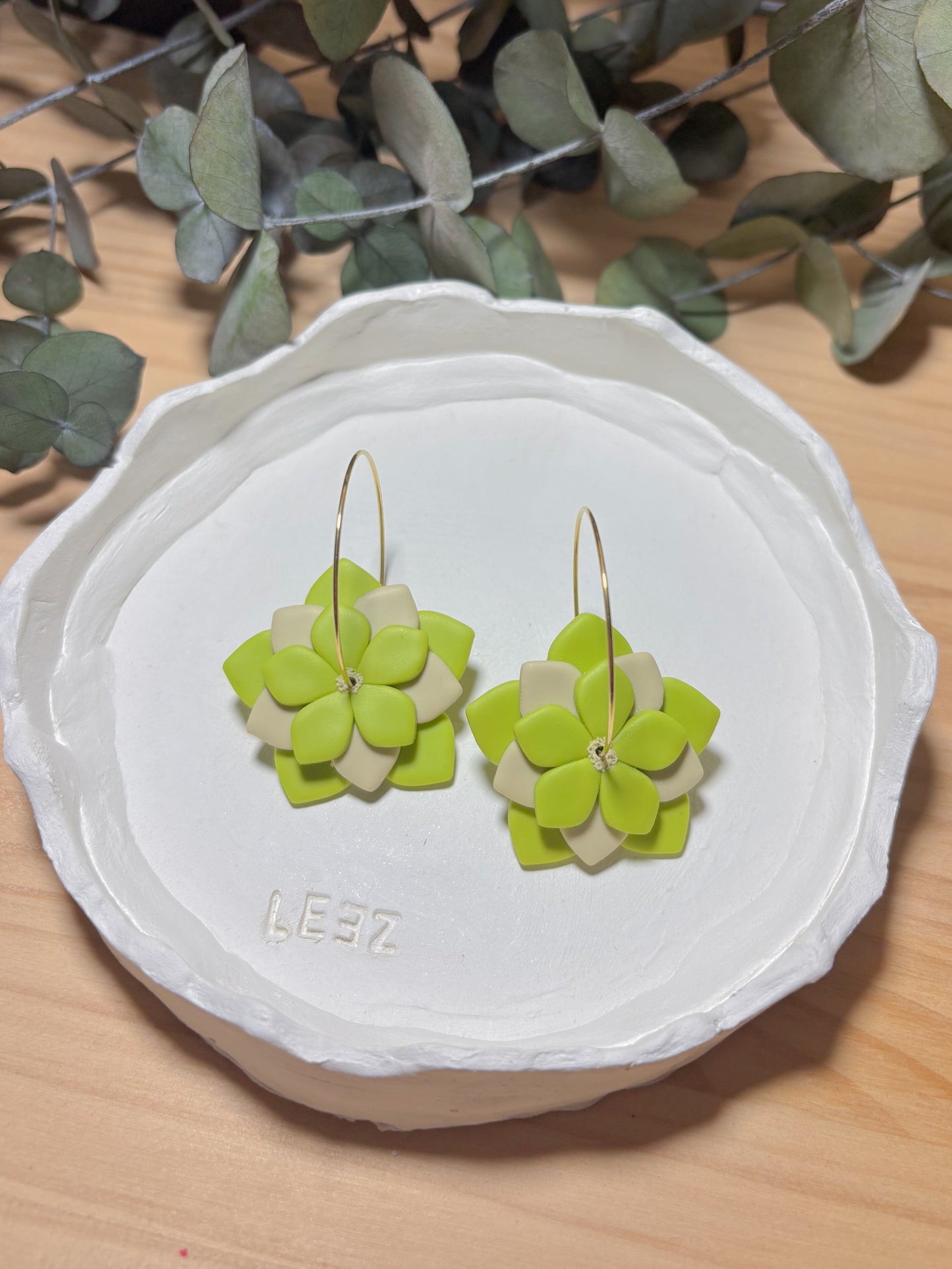 Modelo Córdoba - Verde